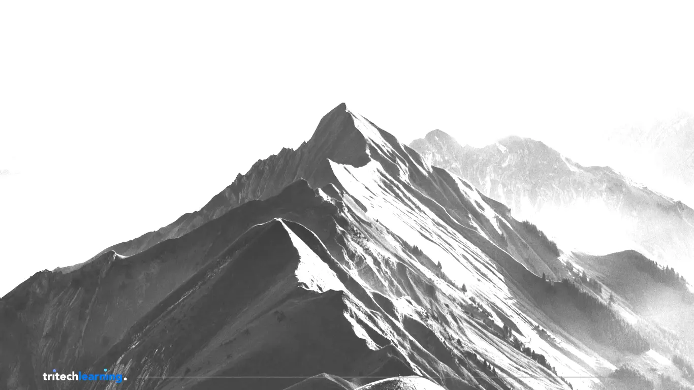 Purpose, Designed Workshop